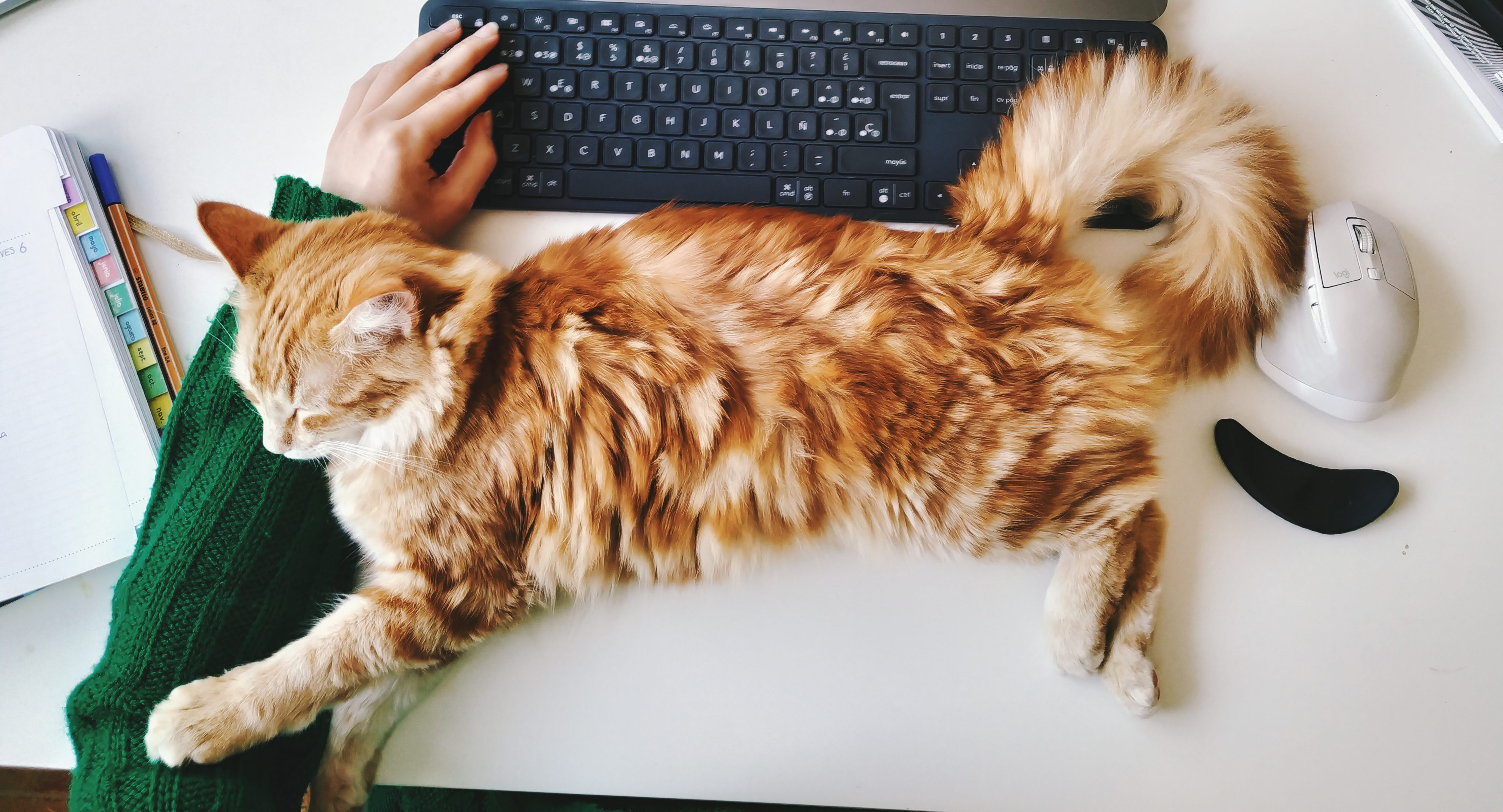 Engineering Happiness In Public Support Channels Happiness Everywhere